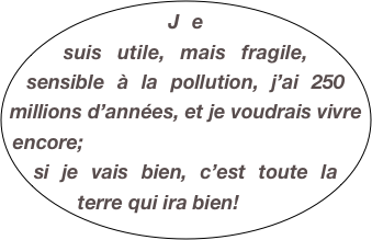 Je suis utile, mais fragile, sensible à la pollution, j’ai 250 millions d’années, et je voudrais vivre encore; 
si je vais bien, c’est toute la terre qui ira bien! 